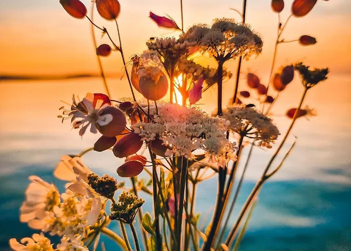 Nina Διαμέρισμα