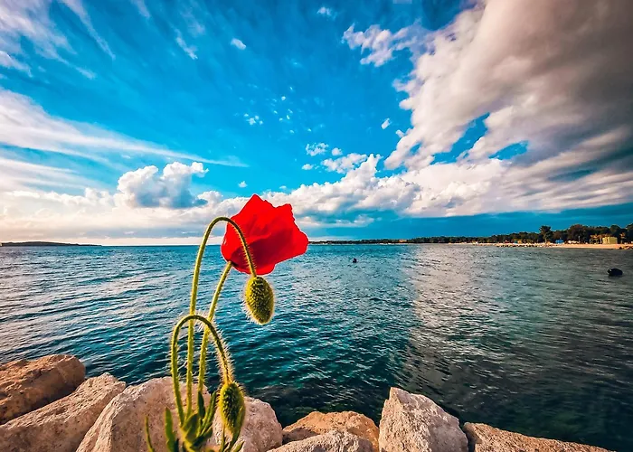 Nina Διαμέρισμα